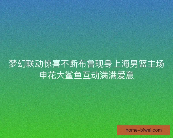 梦幻联动惊喜不断布鲁现身上海男篮主场申花大鲨鱼互动满满爱意