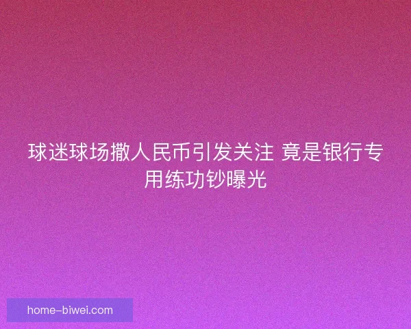 球迷球场撒人民币引发关注 竟是银行专用练功钞曝光